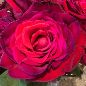 Meet your Posher, Christina